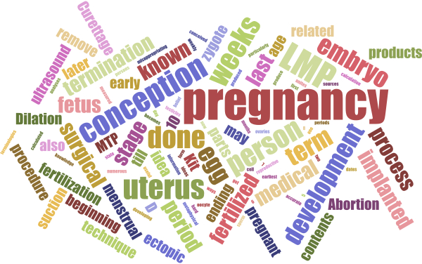 Important Abortion Terms and Phrases
